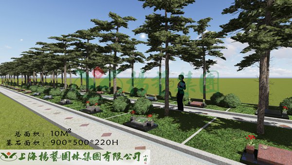 九五至尊VI-老品牌值得信任!