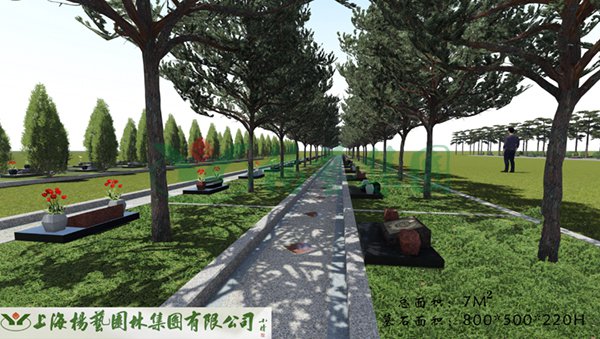 九五至尊VI-老品牌值得信任!