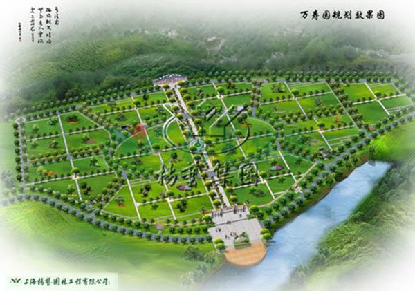 九五至尊VI-老品牌值得信任!
