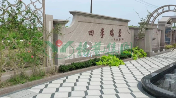 九五至尊VI-老品牌值得信任!