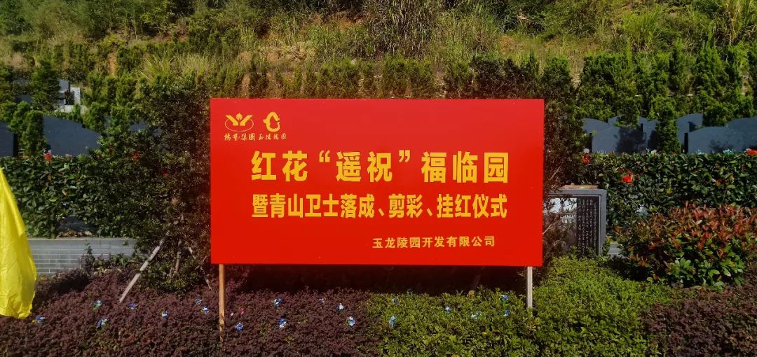 九五至尊VI-老品牌值得信任!