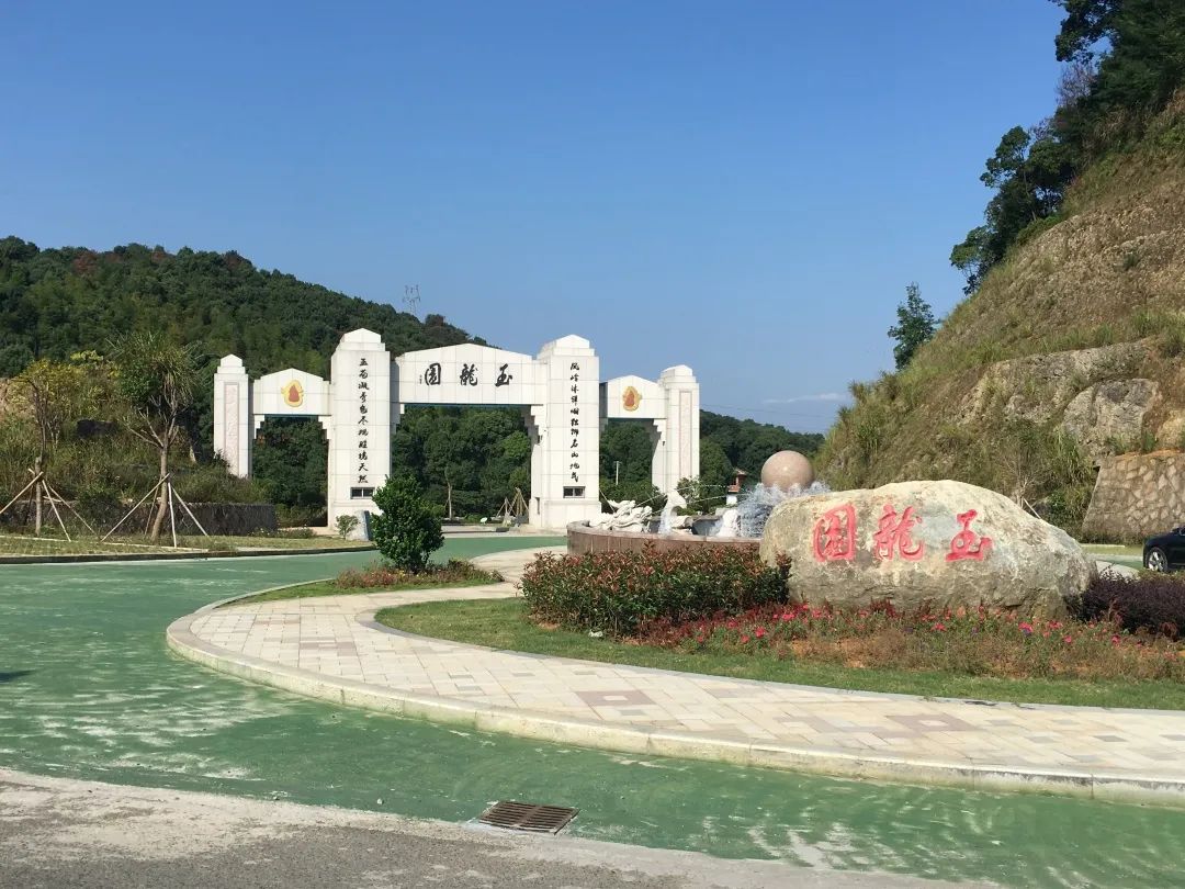 九五至尊VI-老品牌值得信任!