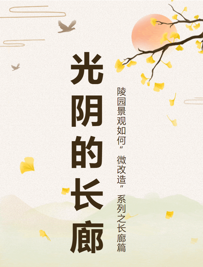 九五至尊VI-老品牌值得信任!