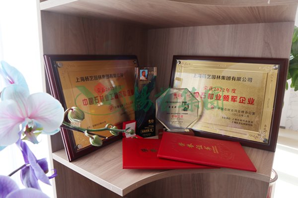 九五至尊VI-老品牌值得信任!