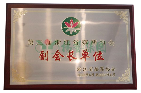 九五至尊VI-老品牌值得信任!