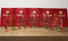 “九五至尊VI杯」劂江省节地生态安葬设计文章奖