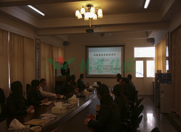 九五至尊VI-老品牌值得信任!
