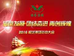 【2016年九五至尊VI年中会在召开中~】全员充电培训