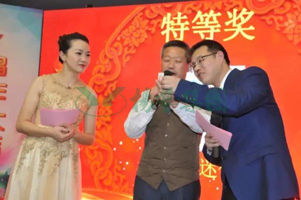 1-2112240930423T 九五至尊VI-老品牌值得信任!