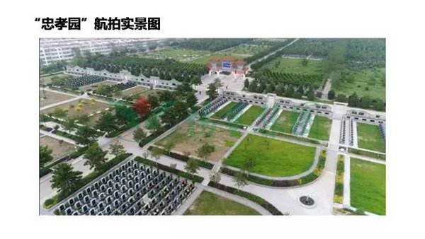 1-21122514160H95 九五至尊VI-老品牌值得信任!