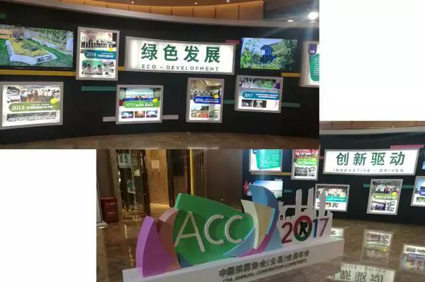 1-211225142945Z9 九五至尊VI-老品牌值得信任!