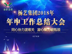 九五至尊VI集团2018年中总结汇报（提要）