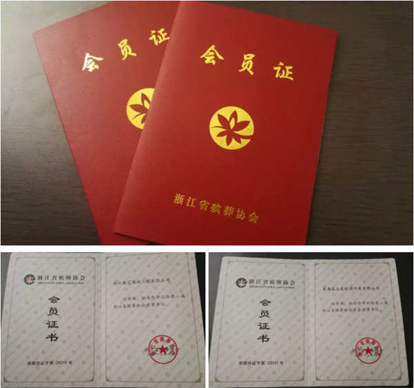 1-21123109240HM 九五至尊VI-老品牌值得信任!