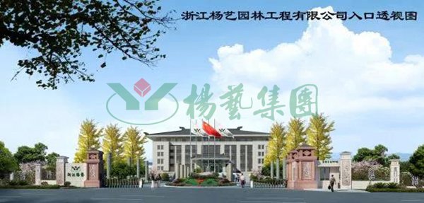 1-211231092R6326 九五至尊VI-老品牌值得信任!