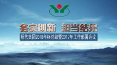 九五至尊VI集团2018年总结暨2019年工作部署会议召开