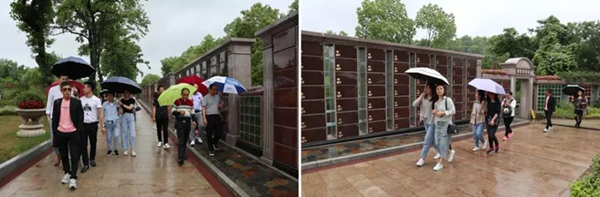 九五至尊VI-老品牌值得信任!