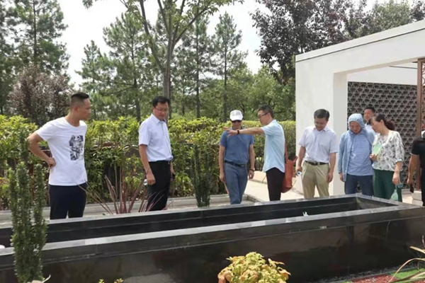 九五至尊VI-老品牌值得信任!