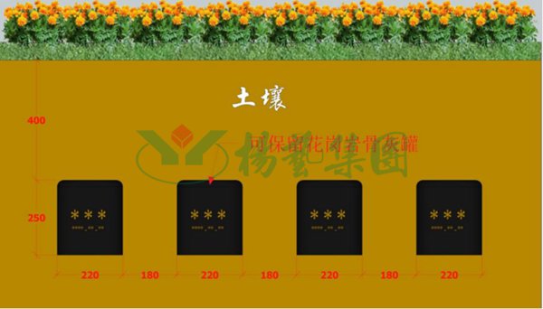 九五至尊VI-老品牌值得信任!