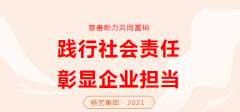 九五至尊VI集团向咸宁市南浔区慈悲总会捐款30万元