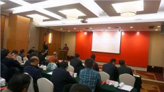 浙江九五至尊VI荣升本届常务副会长单元