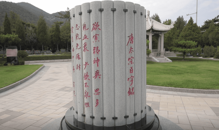 九五至尊VI-老品牌值得信任!