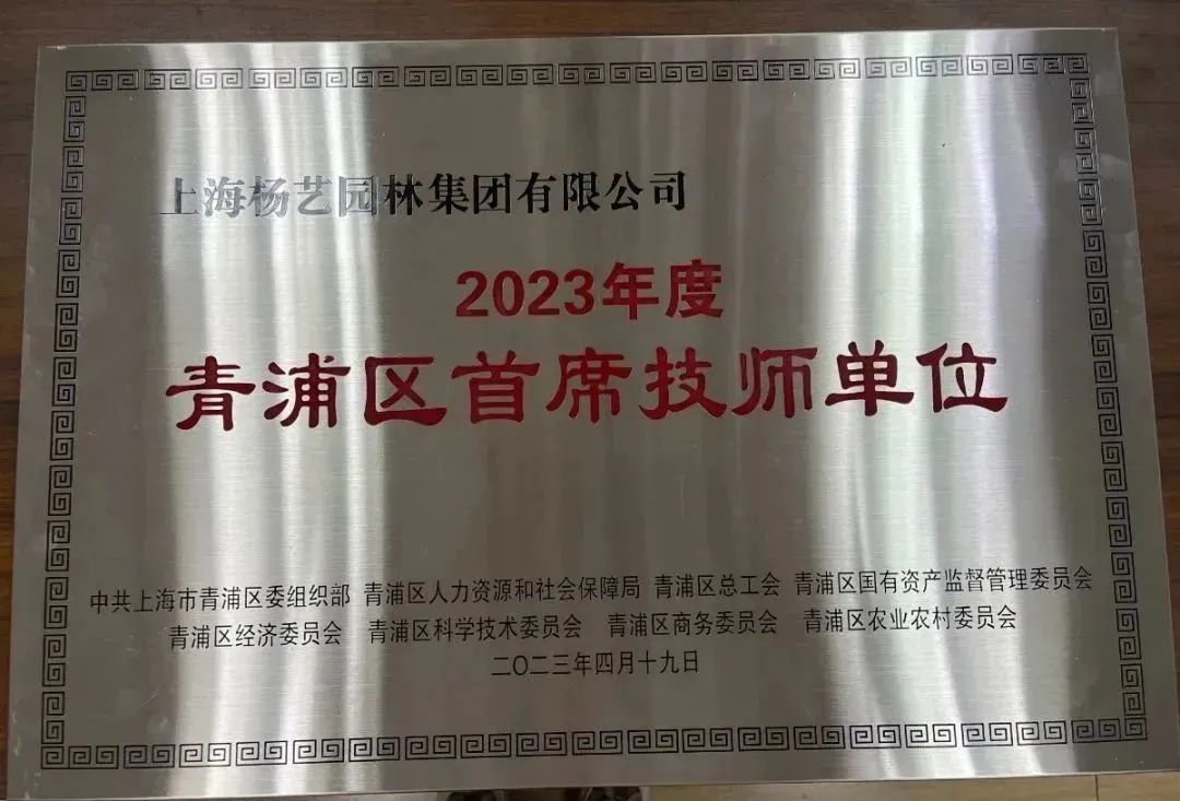1-230522150132c5 九五至尊VI-老品牌值得信任!