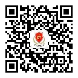 1-230G31009291S 九五至尊VI-老品牌值得信任!