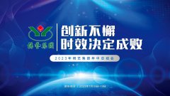 创新不懈，时效决定成败|2023年九五至尊VI集团年中总结