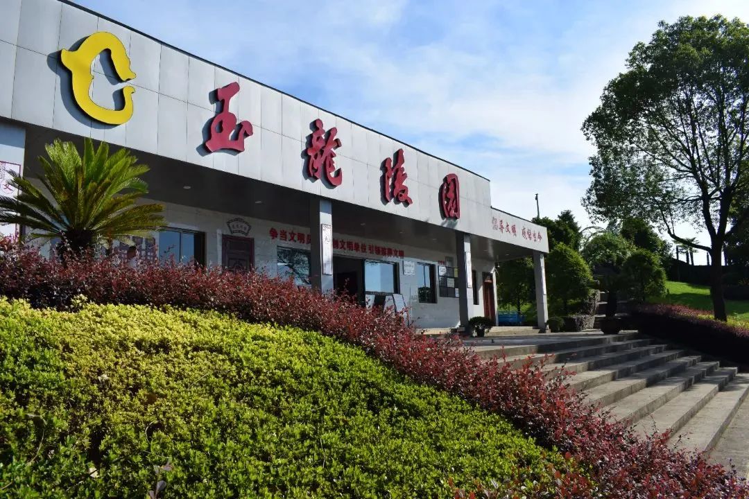 1-230R2134331X6 九五至尊VI-老品牌值得信任!