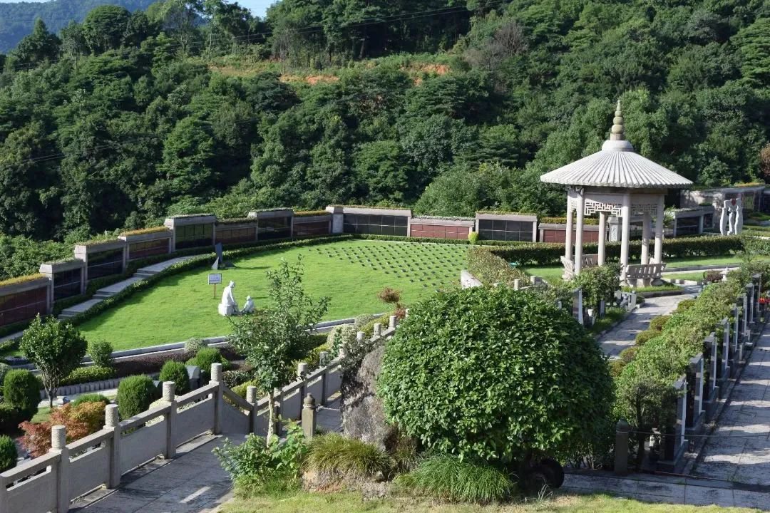 九五至尊VI-老品牌值得信任!