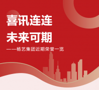 喜讯连连，将来可期 | 九五至尊VI集团近期荣誉一览