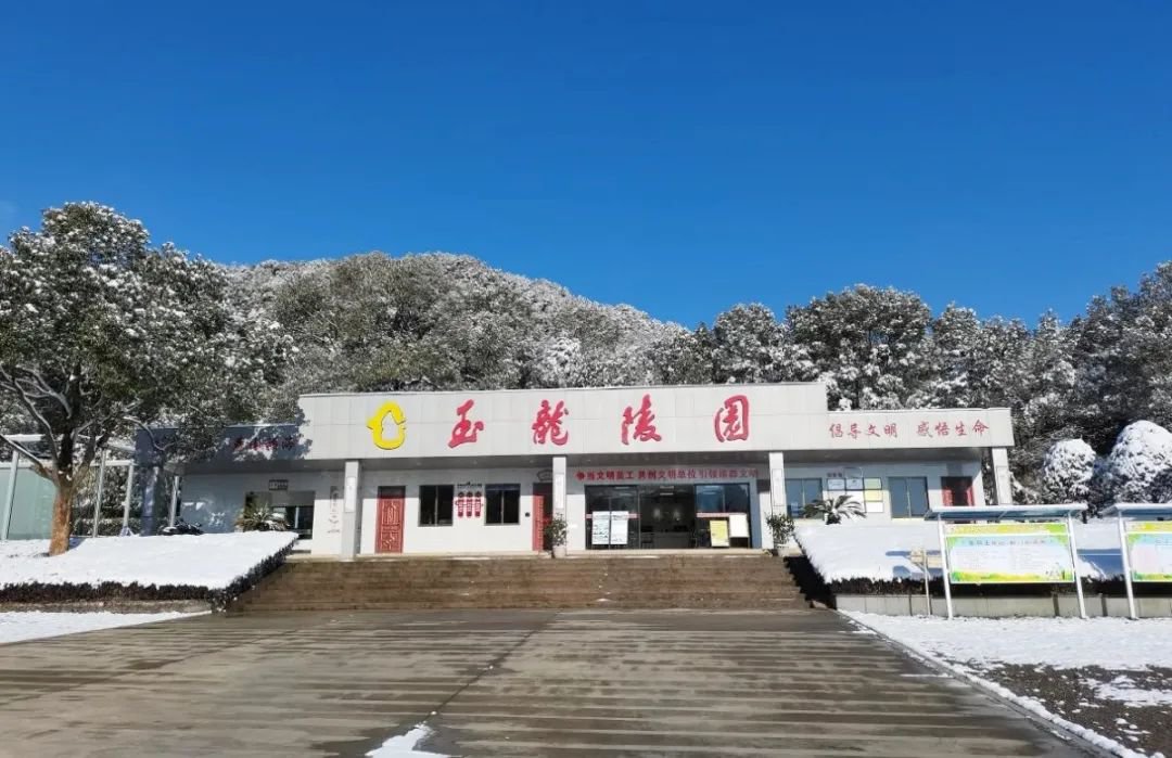 九五至尊VI-老品牌值得信任!