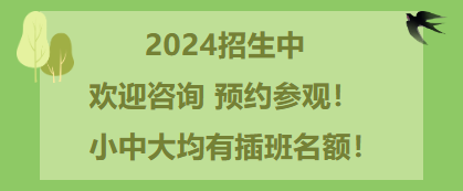 1-240315104101O5 九五至尊VI-老品牌值得信任!