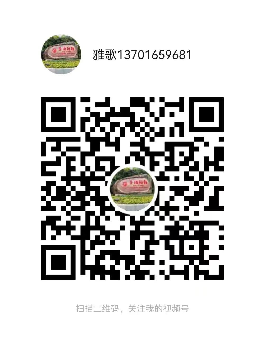 1-24031510411LB 九五至尊VI-老品牌值得信任!