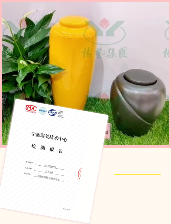 1-24052G62SE22 九五至尊VI-老品牌值得信任!