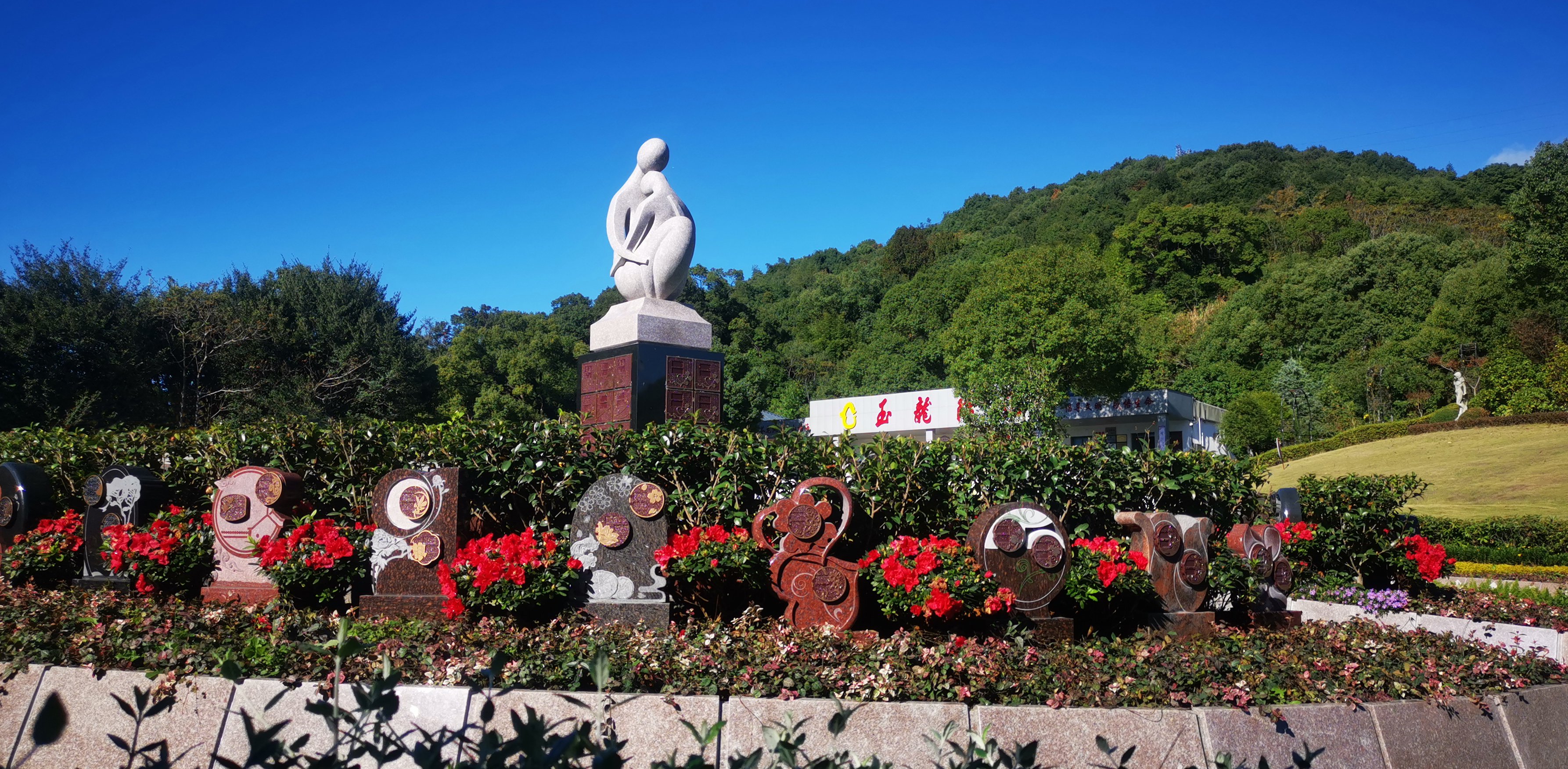 将来，生态葬或将成为主流