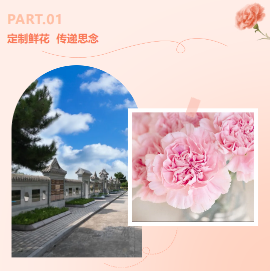 九五至尊VI-老品牌值得信任!