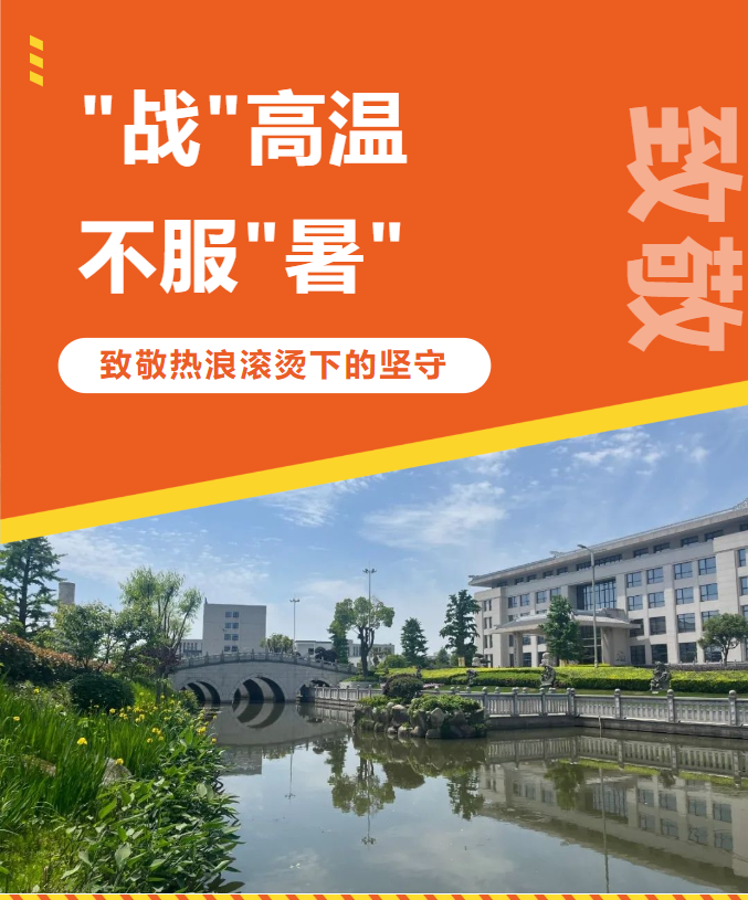 九五至尊VI-老品牌值得信任!