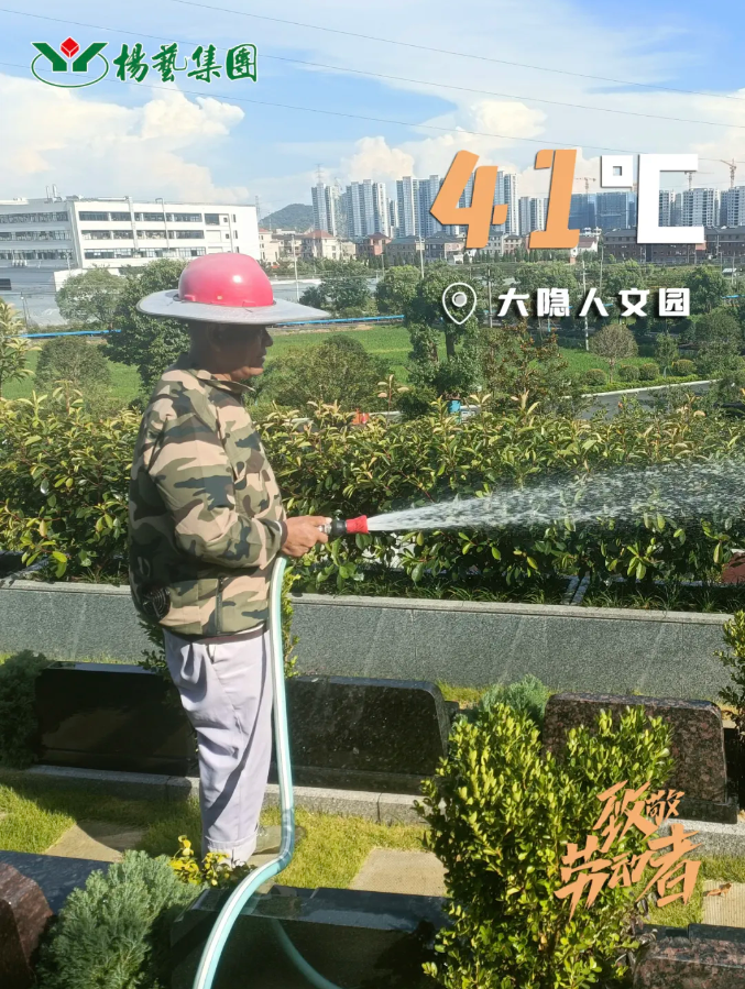 九五至尊VI-老品牌值得信任!