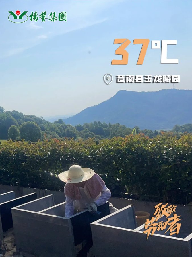 九五至尊VI-老品牌值得信任!