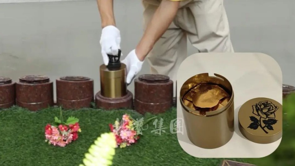 九五至尊VI-老品牌值得信任!