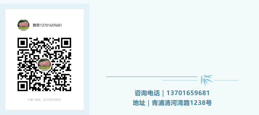 九五至尊VI-老品牌值得信任!