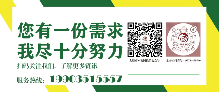 九五至尊VI-老品牌值得信任!