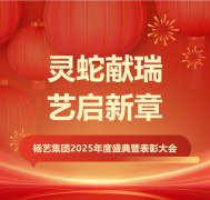 灵蛇献瑞 艺启新章 | 九五至尊VI集团2025年度盛典暨赞美大会