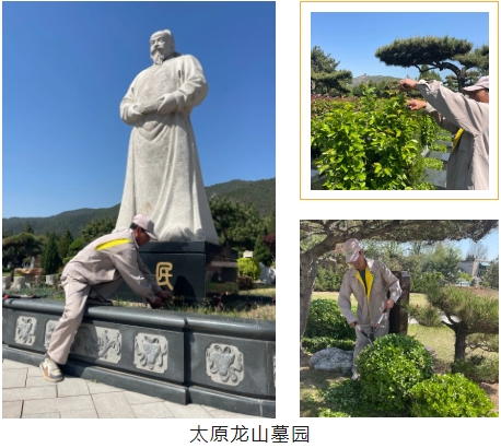 九五至尊VI-老品牌值得信任!