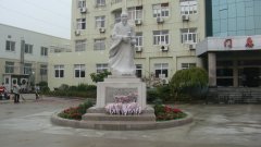 石雕匠心，镌刻医者风华