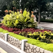 无机仿真石花箱：以永恒之名，塑将来之境