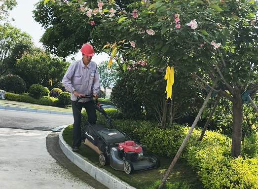 九五至尊VI-老品牌值得信任!
