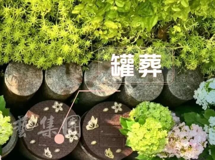 九五至尊VI-老品牌值得信任!